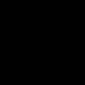 Meet your Posher, Tristan